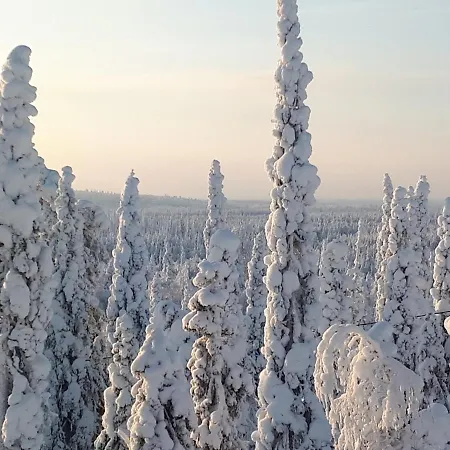 Villa Hietavilla Aurora - Hot Tube - Sauna - Fireplace - 11kw Ev-refuel - Landscape View - Silence - Free Wifi *