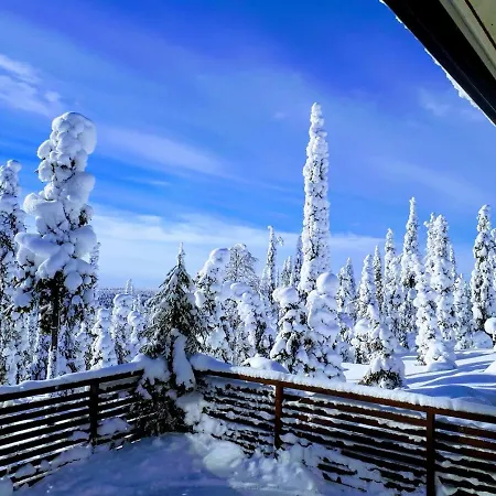 Hietavilla Aurora - Hot Tube - Sauna - Fireplace - 11kw Ev-refuel - Landscape View - Silence - Free Wifi *