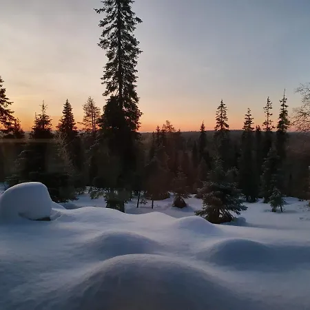 Hietavilla Aurora - Hot Tube - Sauna - Ac - Fireplace - 11kw Ev-refuel - Landscape View - Silence - Free Wifi * Ruka