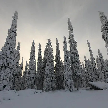 Hietavilla Aurora - Hot Tube - Sauna - Fireplace - 11kw Ev-refuel - Landscape View - Silence - Free Wifi Villa *