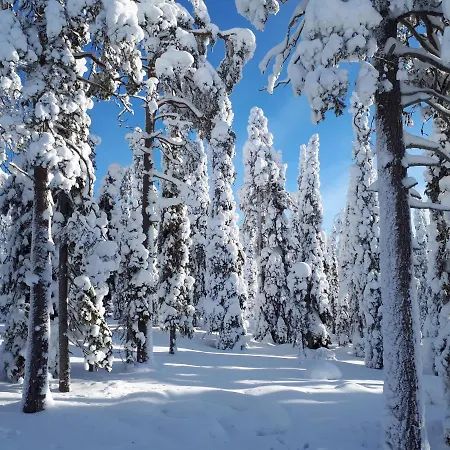 Villa Hietavilla Aurora - Hot Tube - Sauna - Fireplace - 11kw Ev-refuel - Landscape View - Silence - Free Wifi