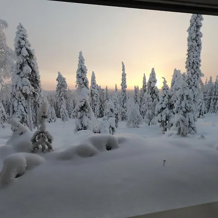 Hietavilla Aurora - Hot Tube - Sauna - Fireplace - 11kw Ev-refuel - Landscape View - Silence - Free Wifi * Ruka