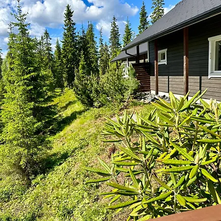 Huvilat Hietavilla Aurora - Hot Tube - Sauna - Fireplace - 11kw Ev-refuel - Landscape View - Silence - Free Wifi