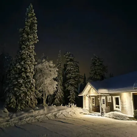 Hietavilla Aurora - Hot Tube - Sauna - Ac - Fireplace - 11kw Ev-refuel - Landscape View - Silence - Free Wifi Villa
