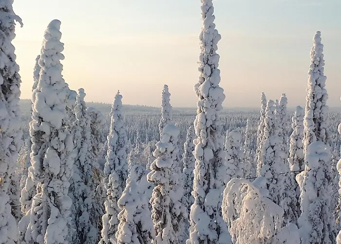 别墅 Hietavilla Aurora - Hot Tube - Sauna - Fireplace - 11kw Ev-refuel - Landscape View - Silence - Free Wifi *