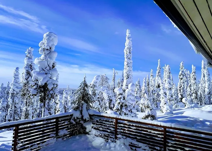 Hietavilla Aurora - Hot Tube - Sauna - Fireplace - 11kw Ev-refuel - Landscape View - Silence - Free Wifi *