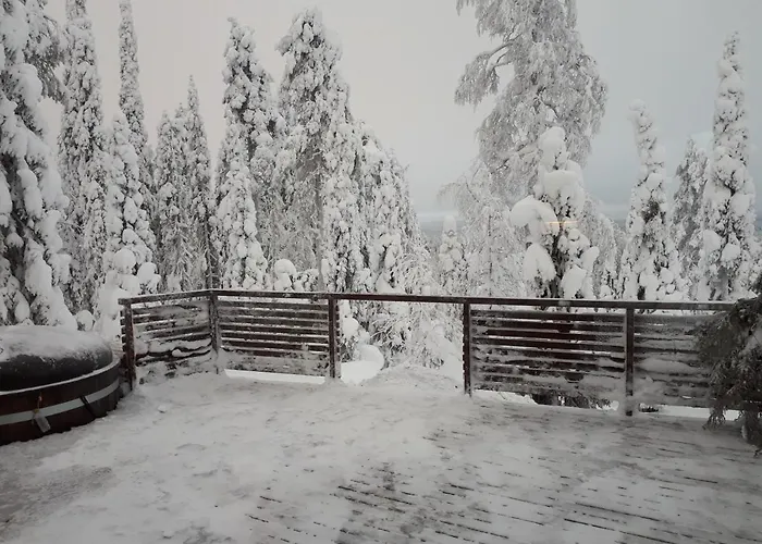 Hietavilla Aurora - Hot Tube - Sauna - Fireplace - 11kw Ev-refuel - Landscape View - Silence - Free Wifi 鲁卡