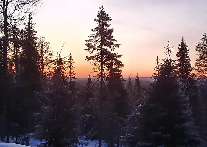 Hietavilla Aurora - Hot Tube - Sauna - Fireplace - 11kw Ev-refuel - Landscape View - Silence - Free Wifi 别墅 *