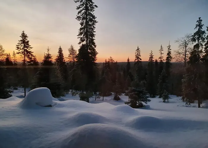 Hietavilla Aurora - Hot Tube - Sauna - Fireplace - 11kw Ev-refuel - Landscape View - Silence - Free Wifi * Ruka