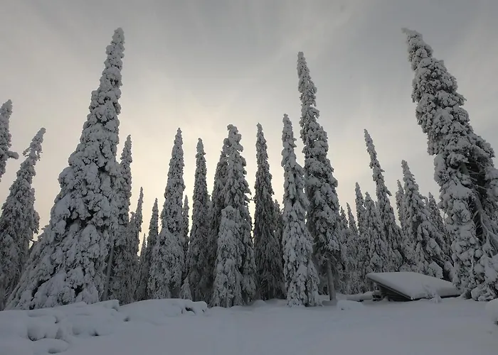 Hietavilla Aurora - Hot Tube - Sauna - Fireplace - 11kw Ev-refuel - Landscape View - Silence - Free Wifi Vila *