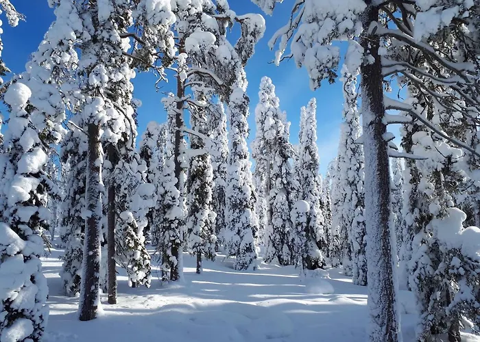 Vila Hietavilla Aurora - Hot Tube - Sauna - Fireplace - 11kw Ev-refuel - Landscape View - Silence - Free Wifi