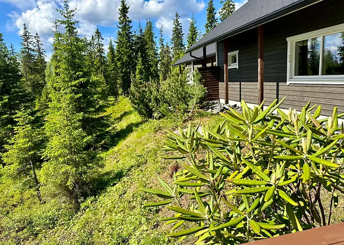 别墅 Hietavilla Aurora - Hot Tube - Sauna - Fireplace - 11kw Ev-refuel - Landscape View - Silence - Free Wifi